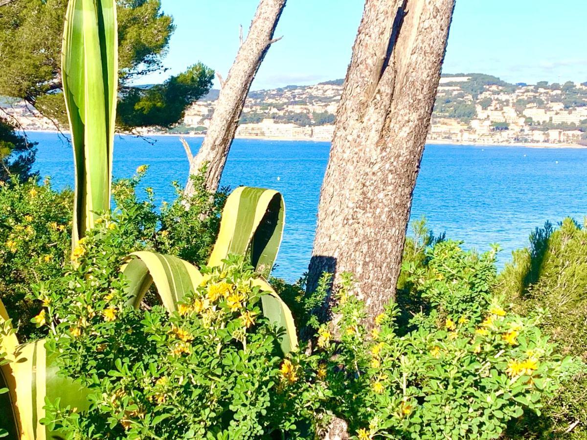 La Plage A 5 Minutes A Pied, Calme Et Verdure 사나리쉬르메르 외부 사진